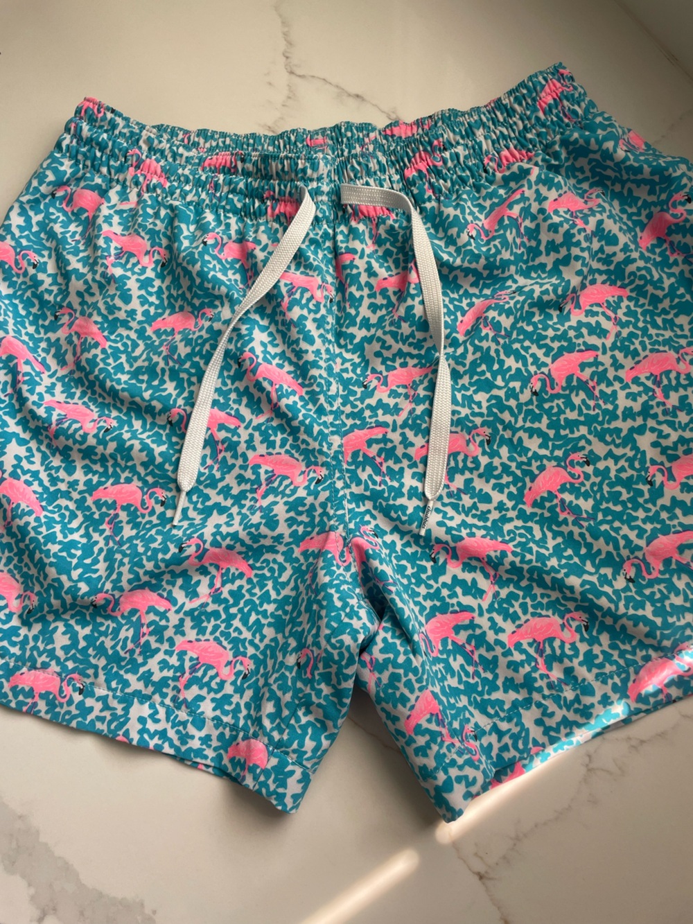 Chubbies men’s swim trunks